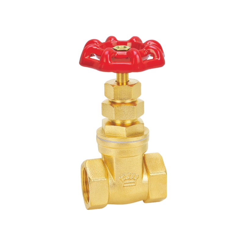 2005 特重双重压帽闸阀