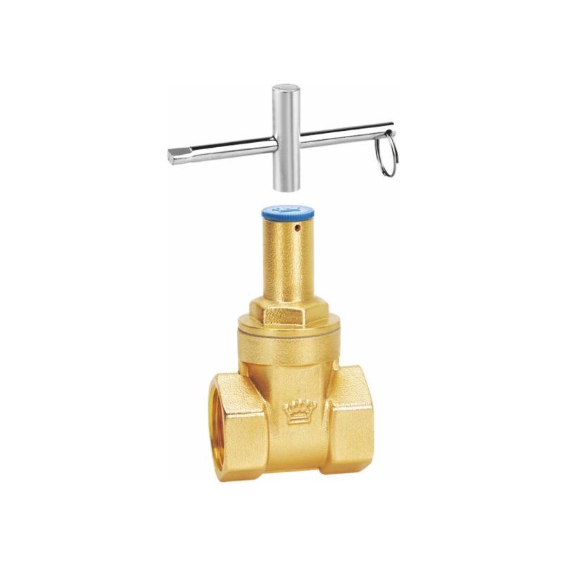 2008(A1、A2) 锁闭闸阀(中型、重型)