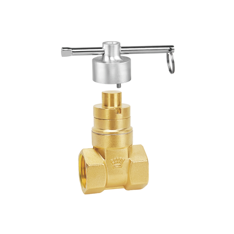 2009 磁性锁闭闸阀