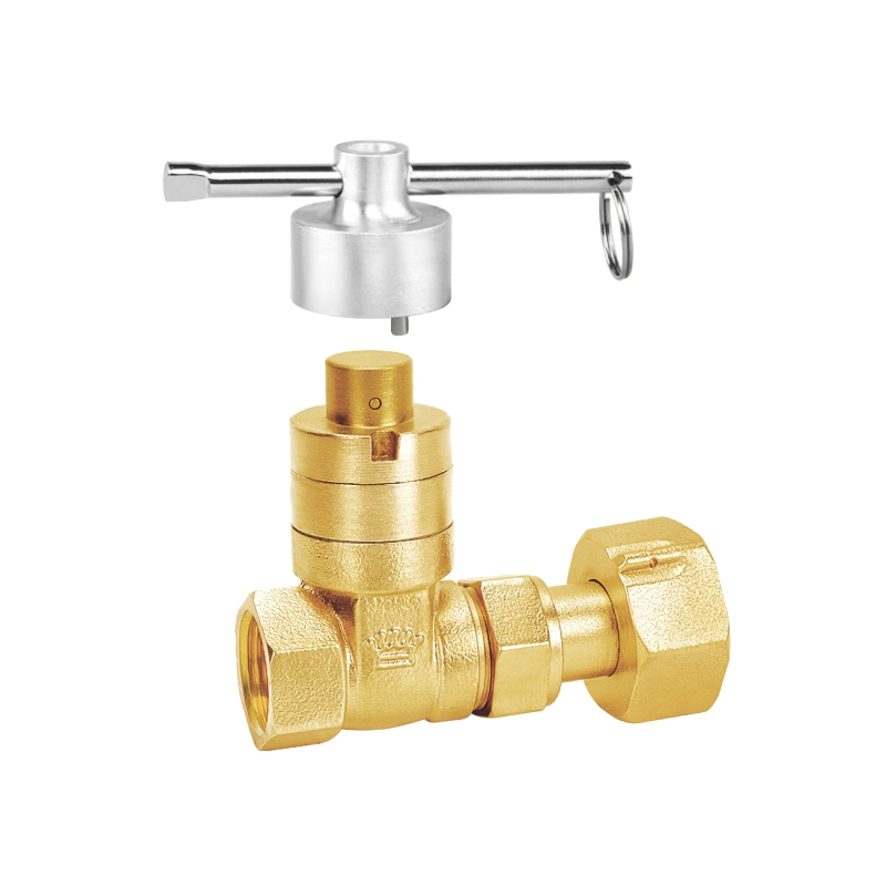 2012 磁性锁闭水表闸阀