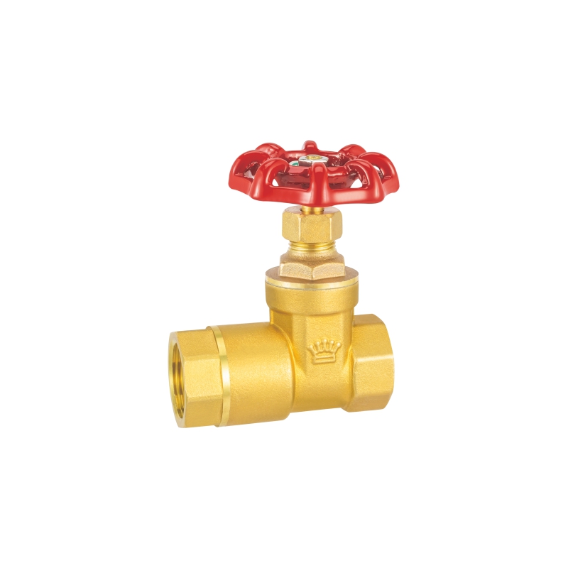 2056 锁闭止回闸阀