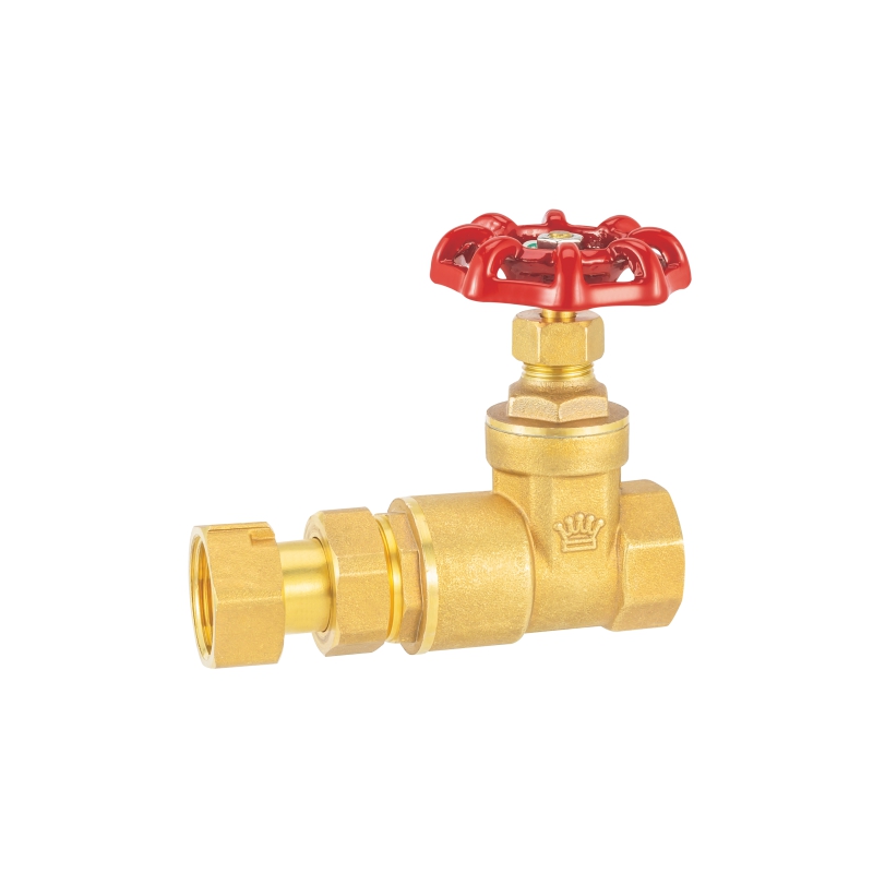 2057 水表伸缩止回闸阀