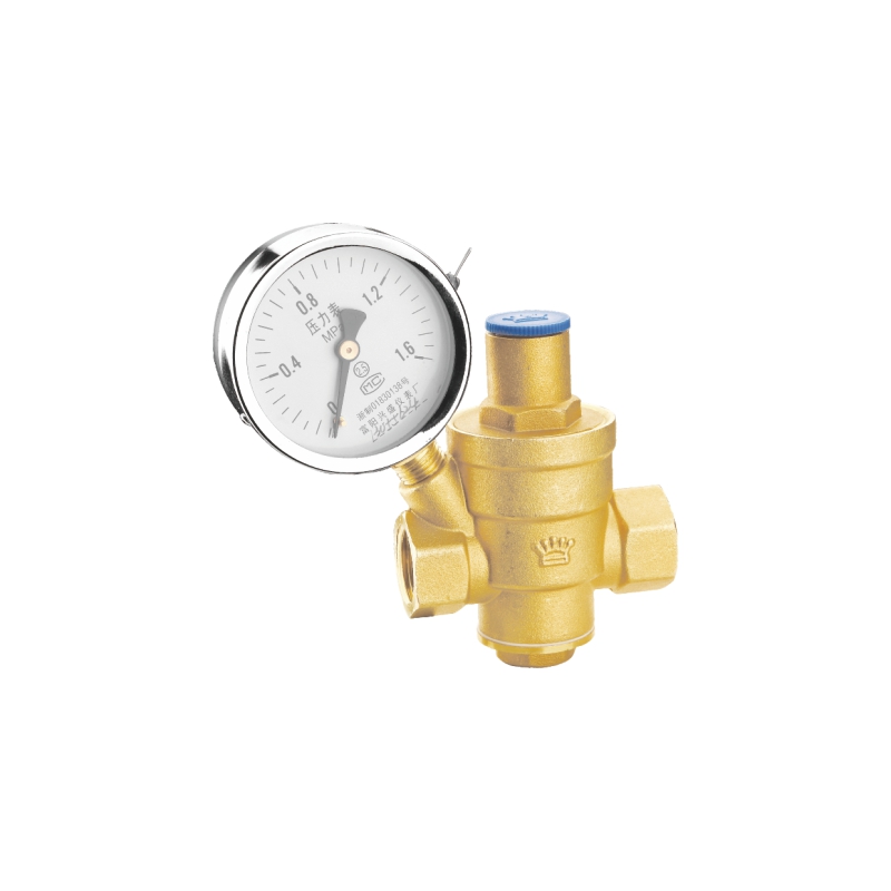 5008重型)/5008-3(中型) 带表消声减压阀